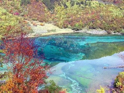 沪江开心词场
